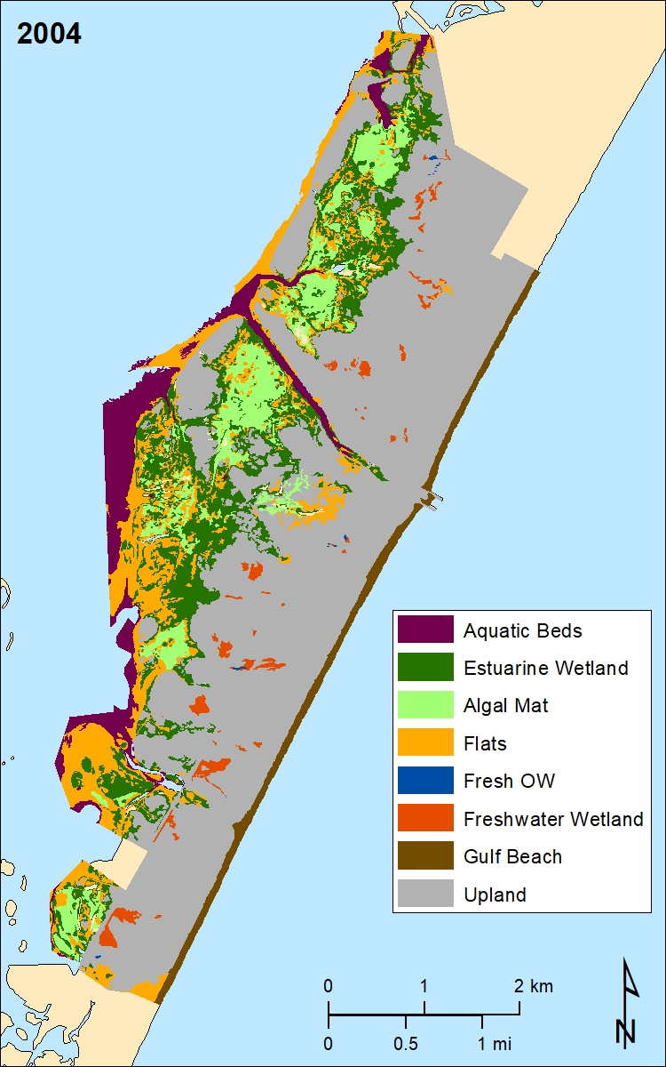 Areal distribution of habitats in Mustang Island State Park in 2002-04. Modified from White and others, 2006.