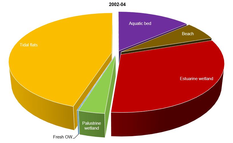 Areal extent of mapped wetland and aquatic habitats in 2002-04. Modified from White and others, 2006.