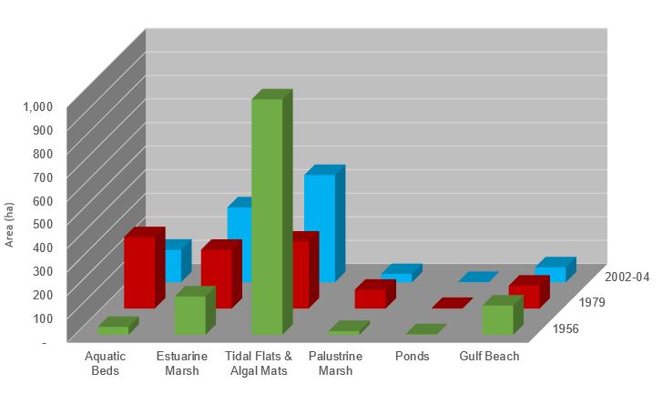 Areal distribution of habitats in Mustang Island State Park in 1956, 1979, and 2002-04. Modified from White and others, 2006.