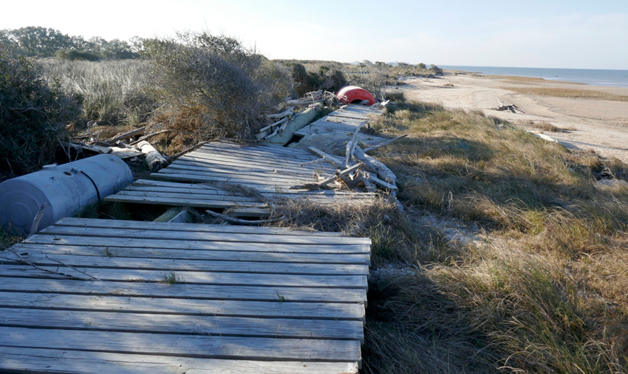 Figure H3. Hurricane Harvey (2017) debris line along Matagorda Bay at Powderhorn Ranch.