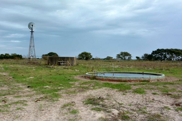 Ingleside Windmill.jpg