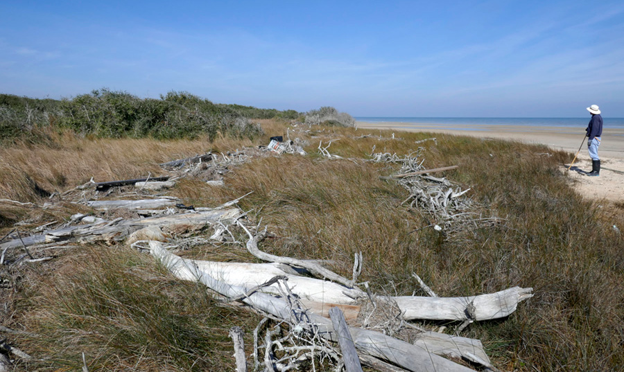 Figure H4. Hurricane Harvey debris line along Matagorda Bay at Powderhorn Ranch.