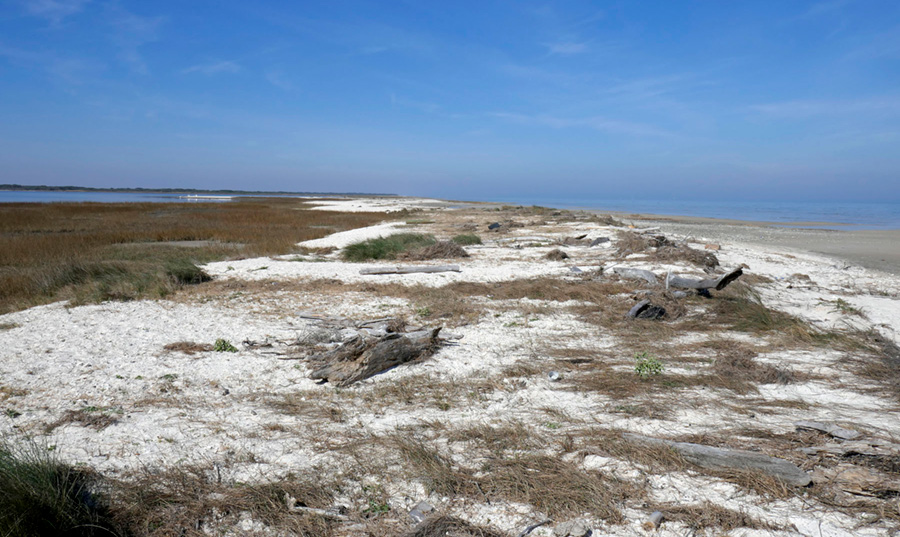 Figure H5. Hurricane Harvey washover deposits on a bay-margin marsh along Matagorda Bay at Powderhorn Ranch.