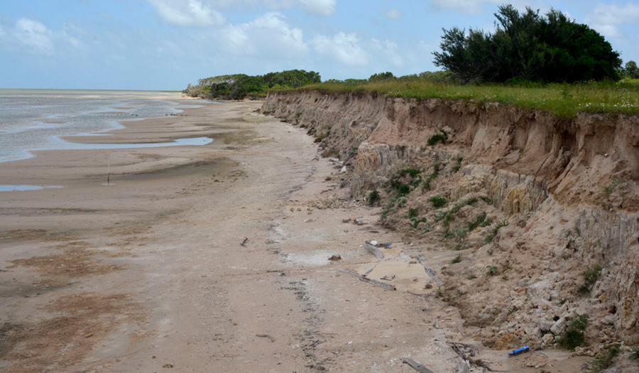 Figure S7. Sandy slope along the Matagorda Bay shoreline of Powderhorn Ranch.