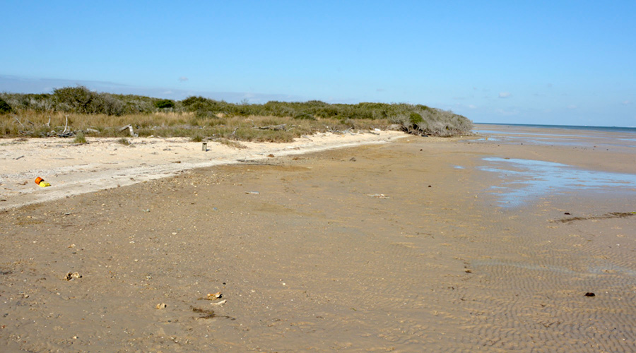 Figure S8. Sandy and shelly spit along the Matagorda Bay shoreline of Powderhorn Ranch.