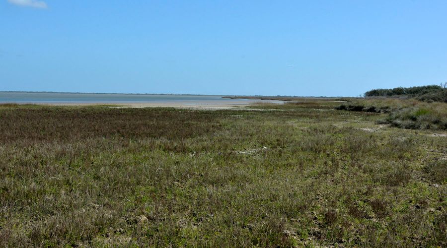 Figure S9. Bay-margin marsh and tidal flat along the Powderhorn Lake shoreline of Powderhorn Ranch.