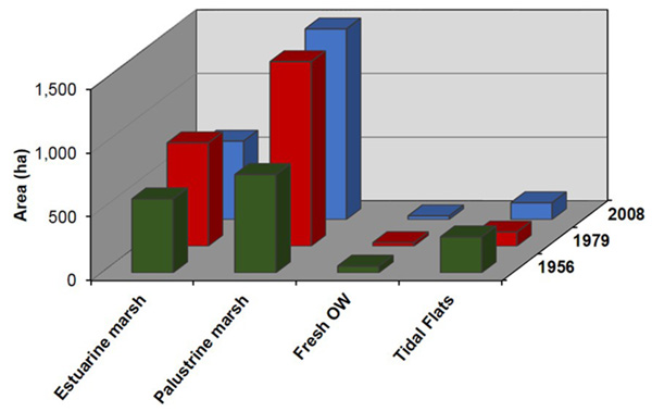 Areal distribution of habitats in Powderhorn Ranch in 1956, 1979, and 2008