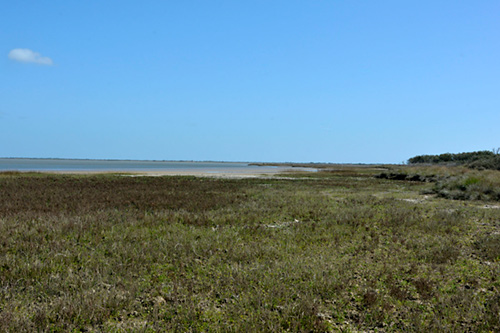 Mudflat and marsh along Powderhorn Lake