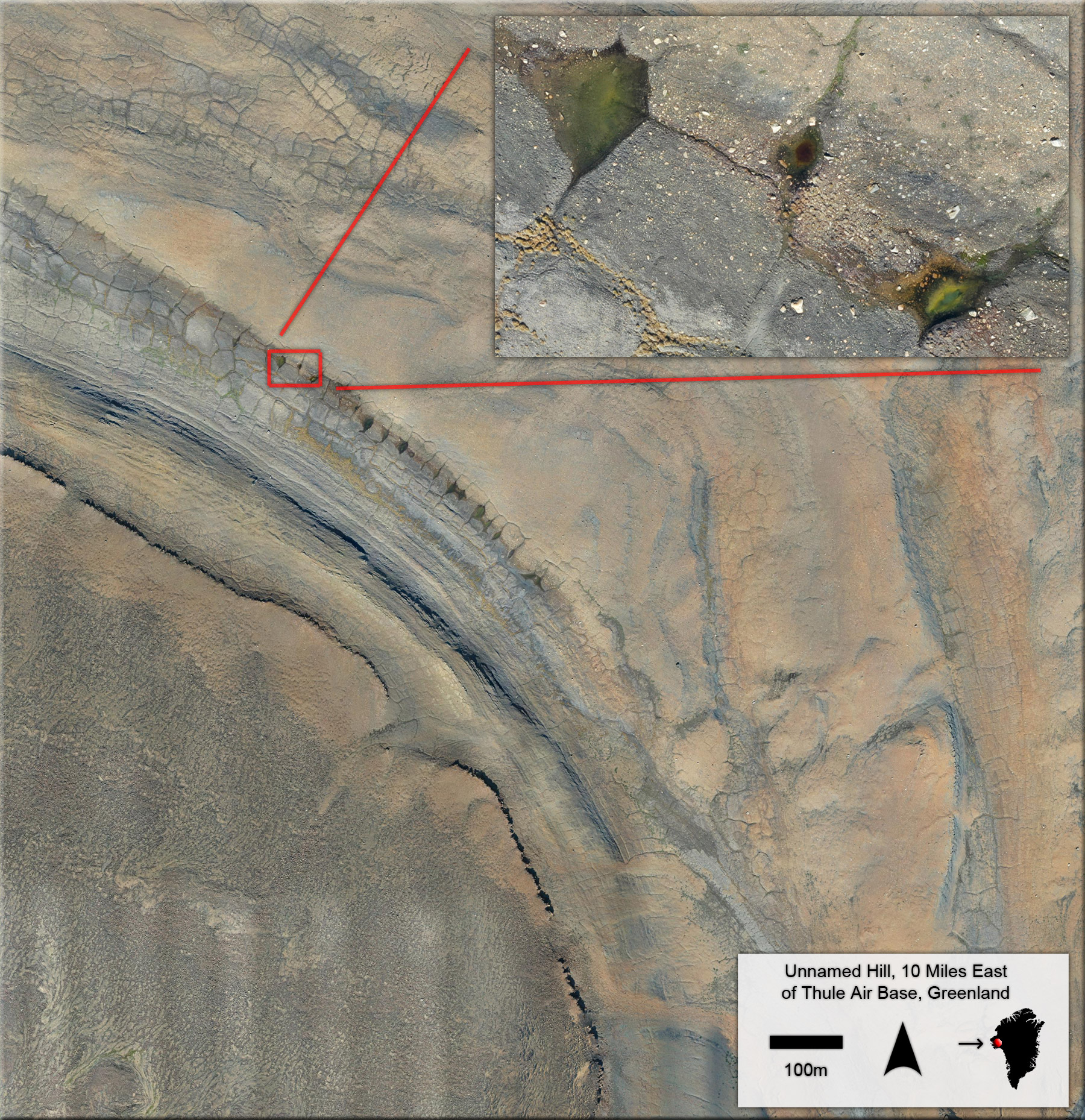 Mapview orthomosaic image