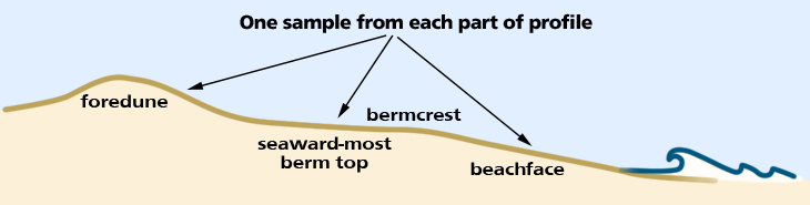 sediment diagram