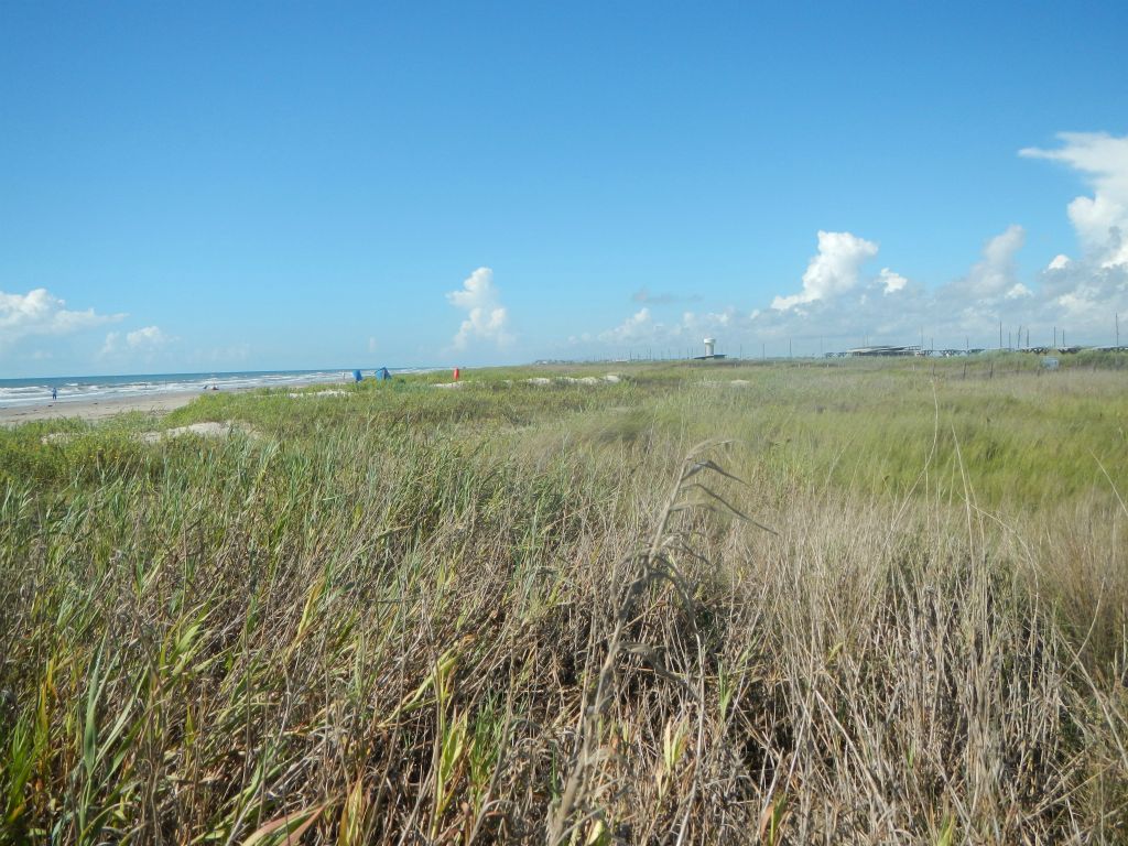Texas coastline