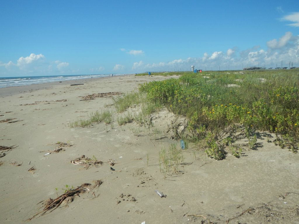 Texas coastline