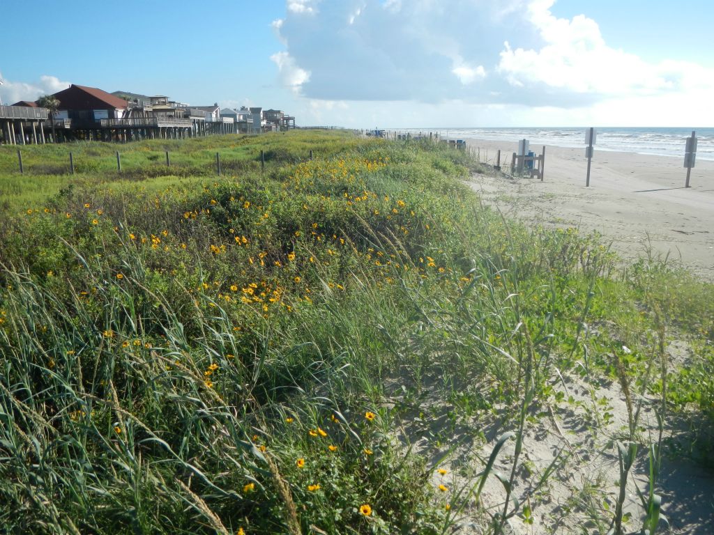 Texas coastline