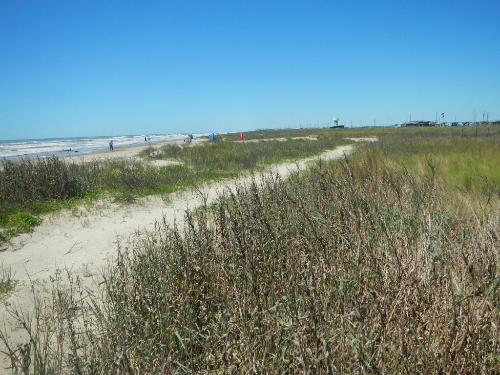 Texas coastline