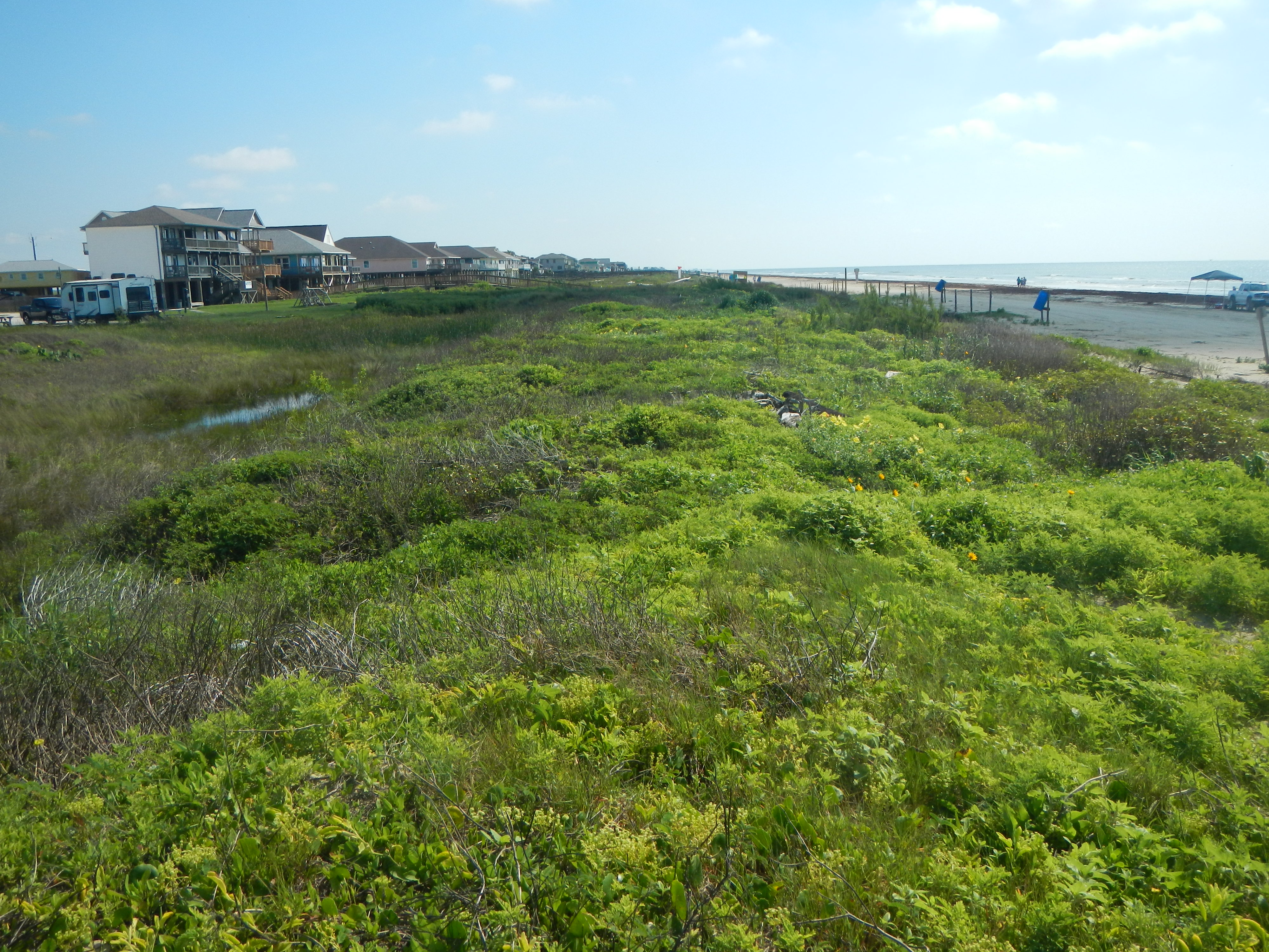 Texas coastline
