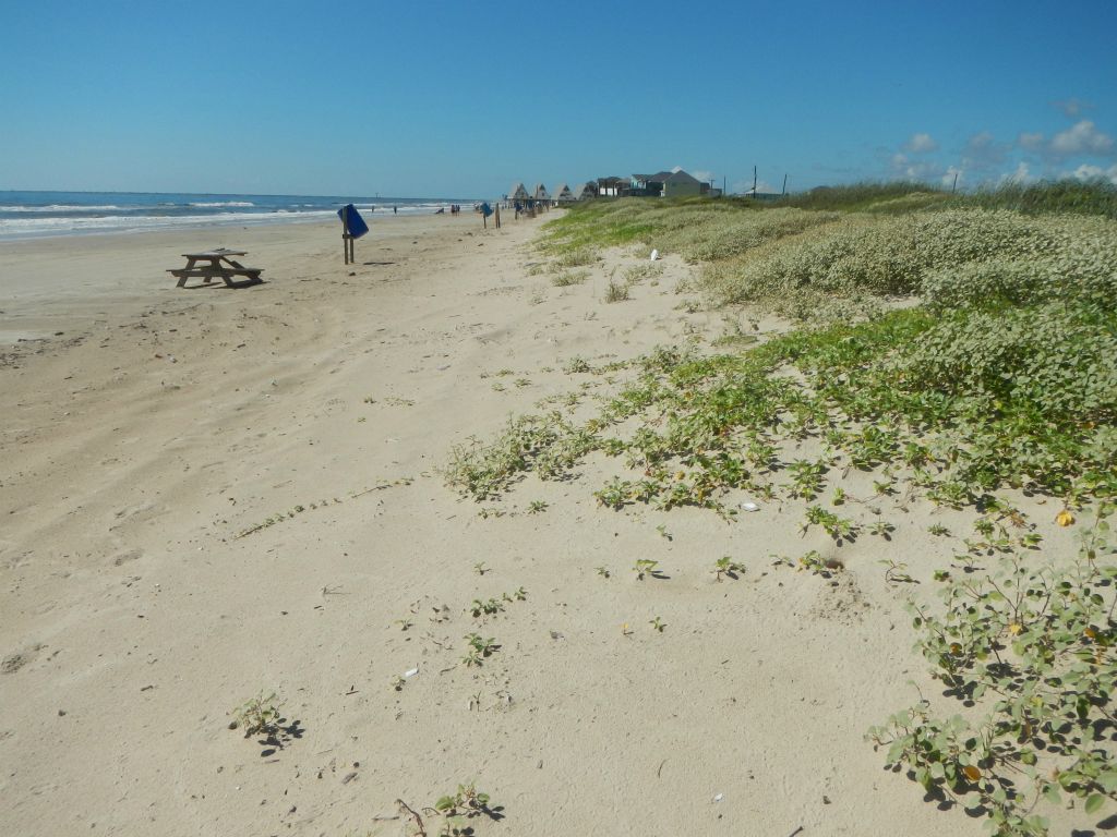 Texas coastline