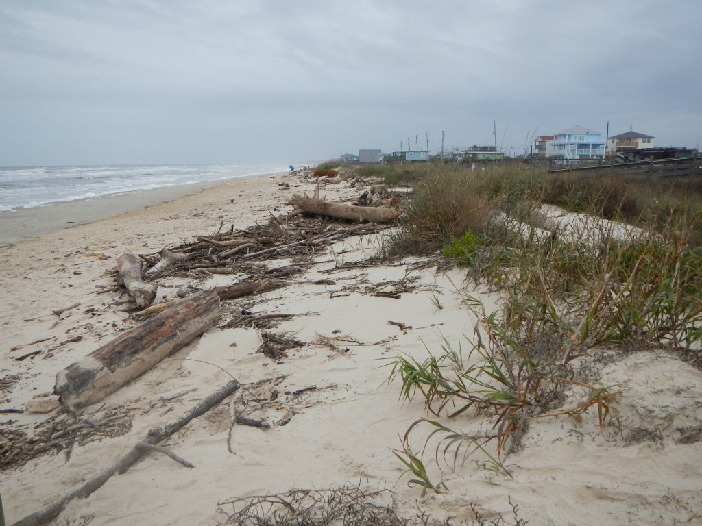Texas coastline