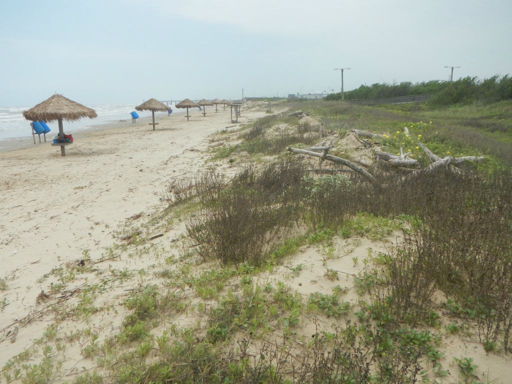 Texas coastline
