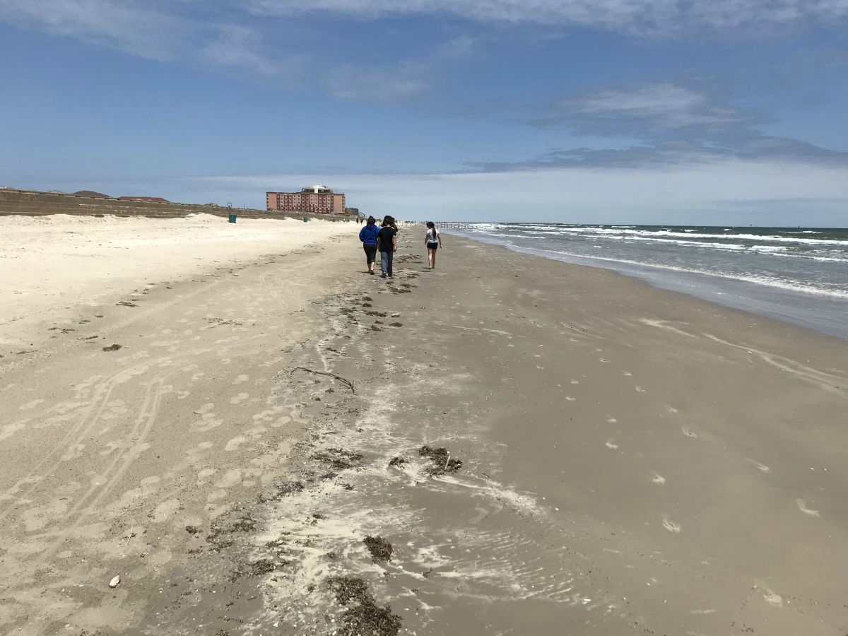 Texas coastline