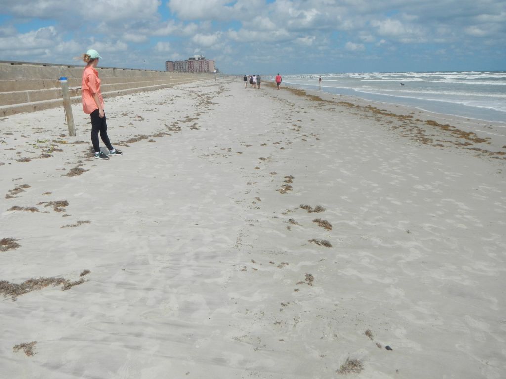 Texas coastline