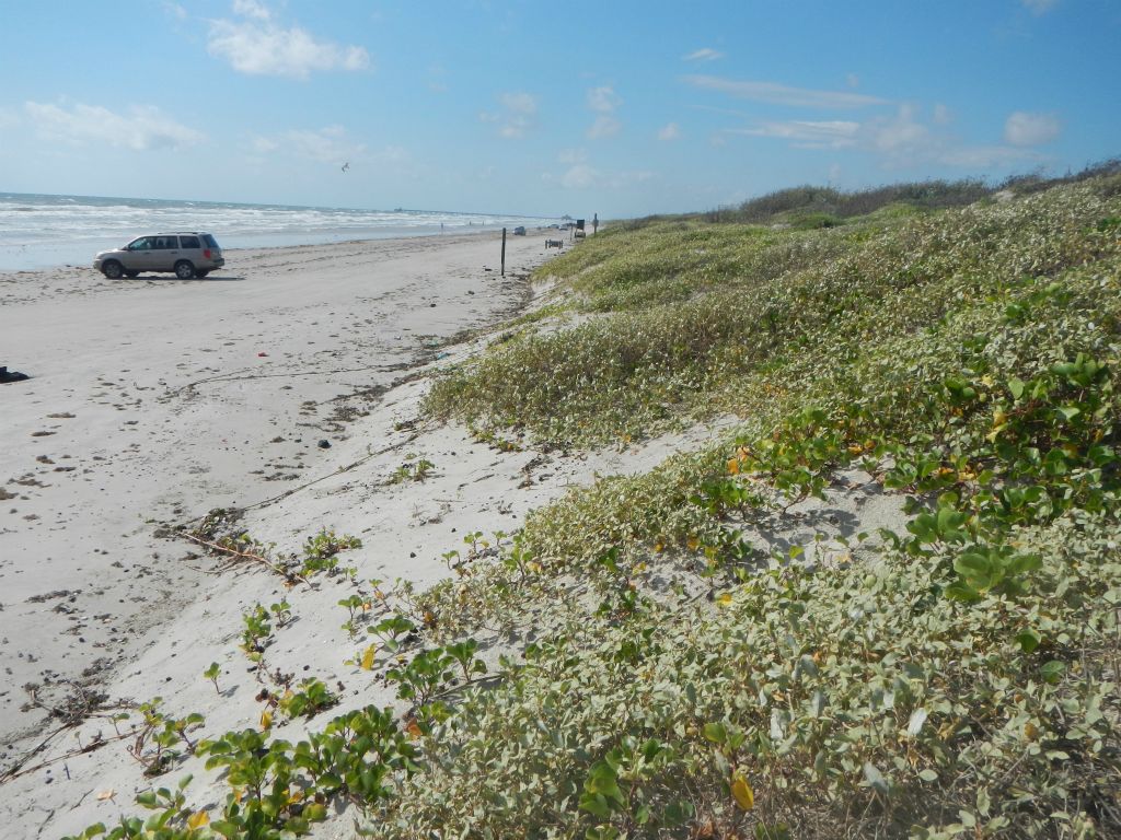 Texas coastline