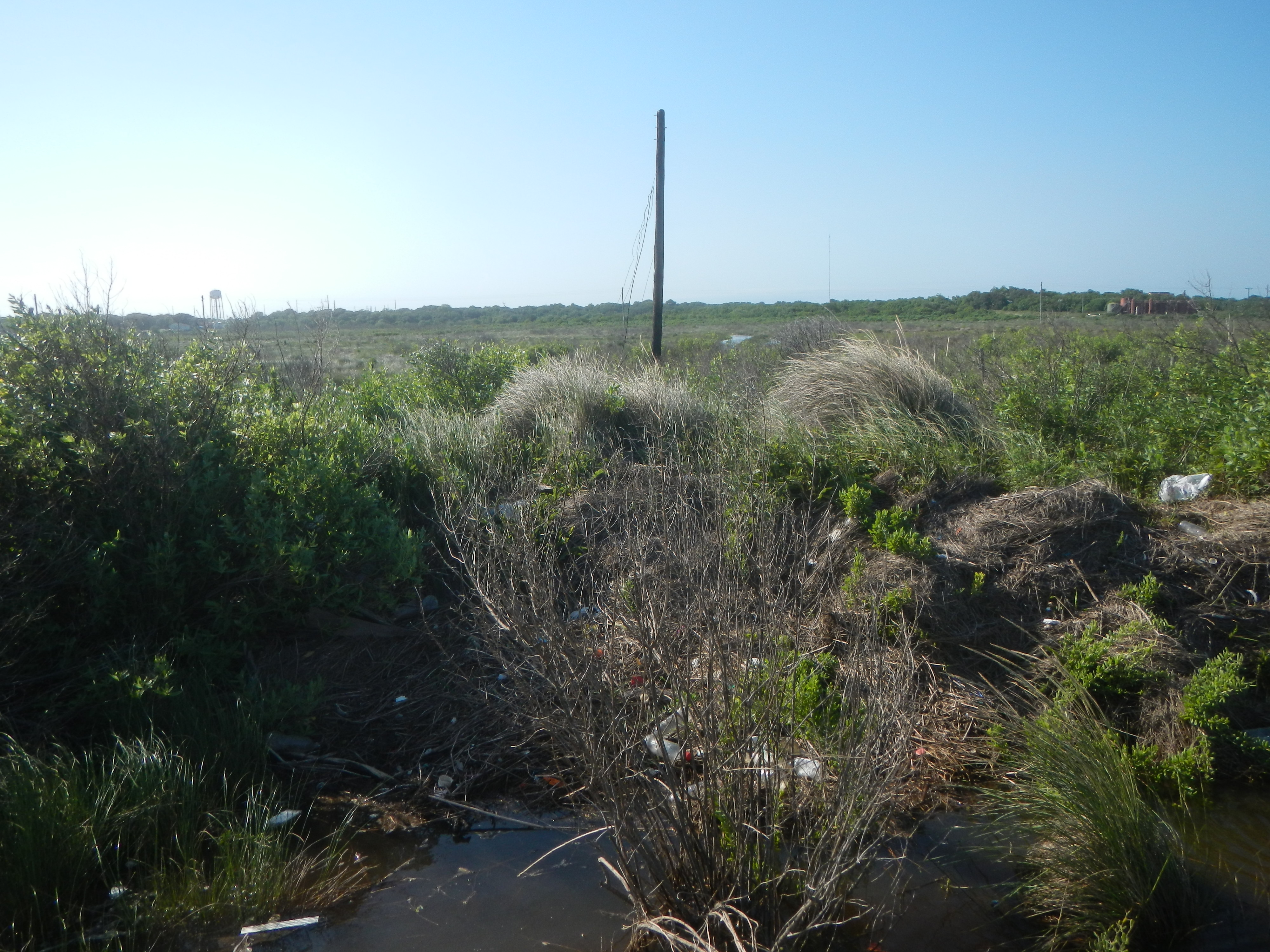 Texas coastline