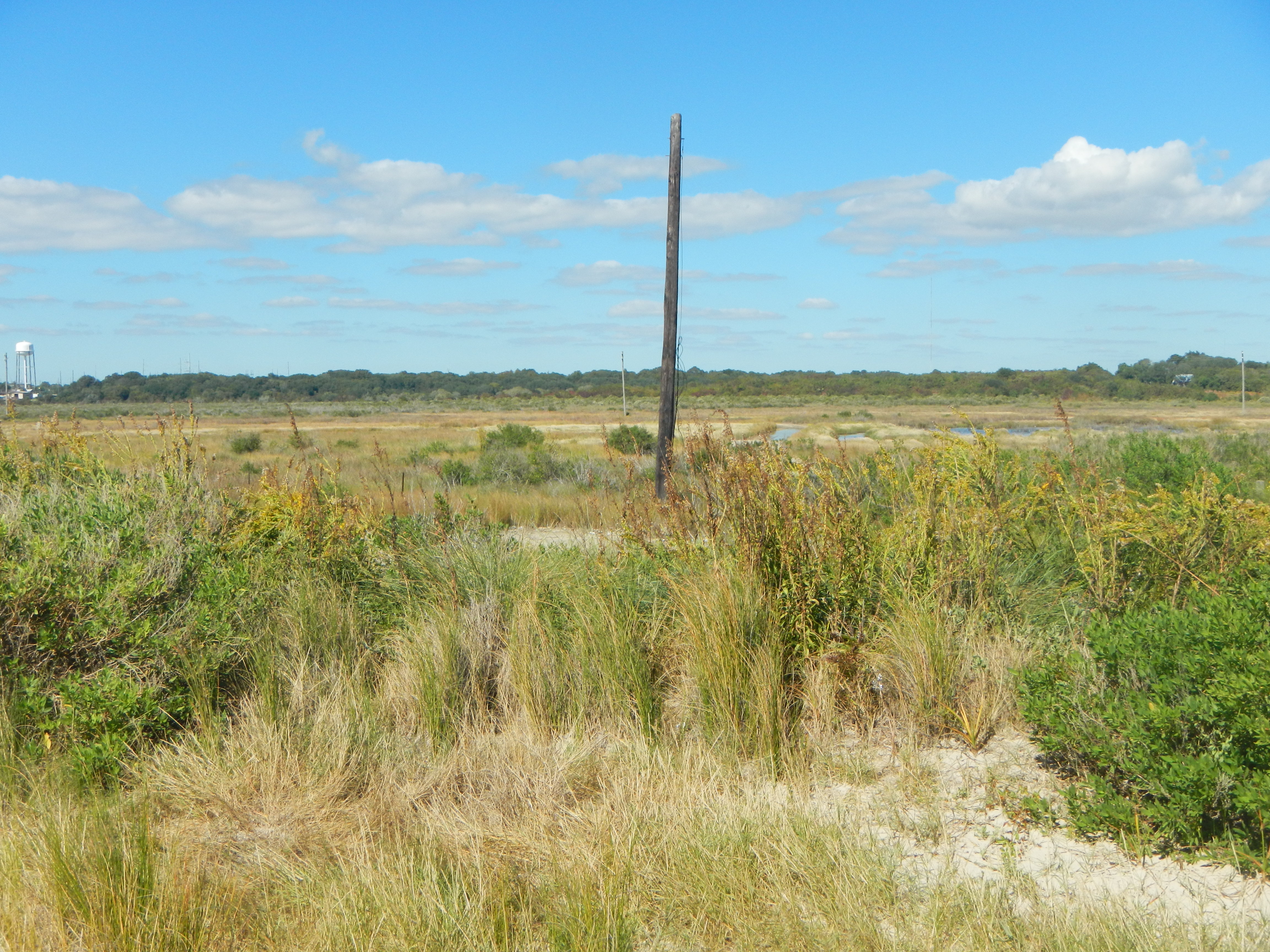 Texas coastline