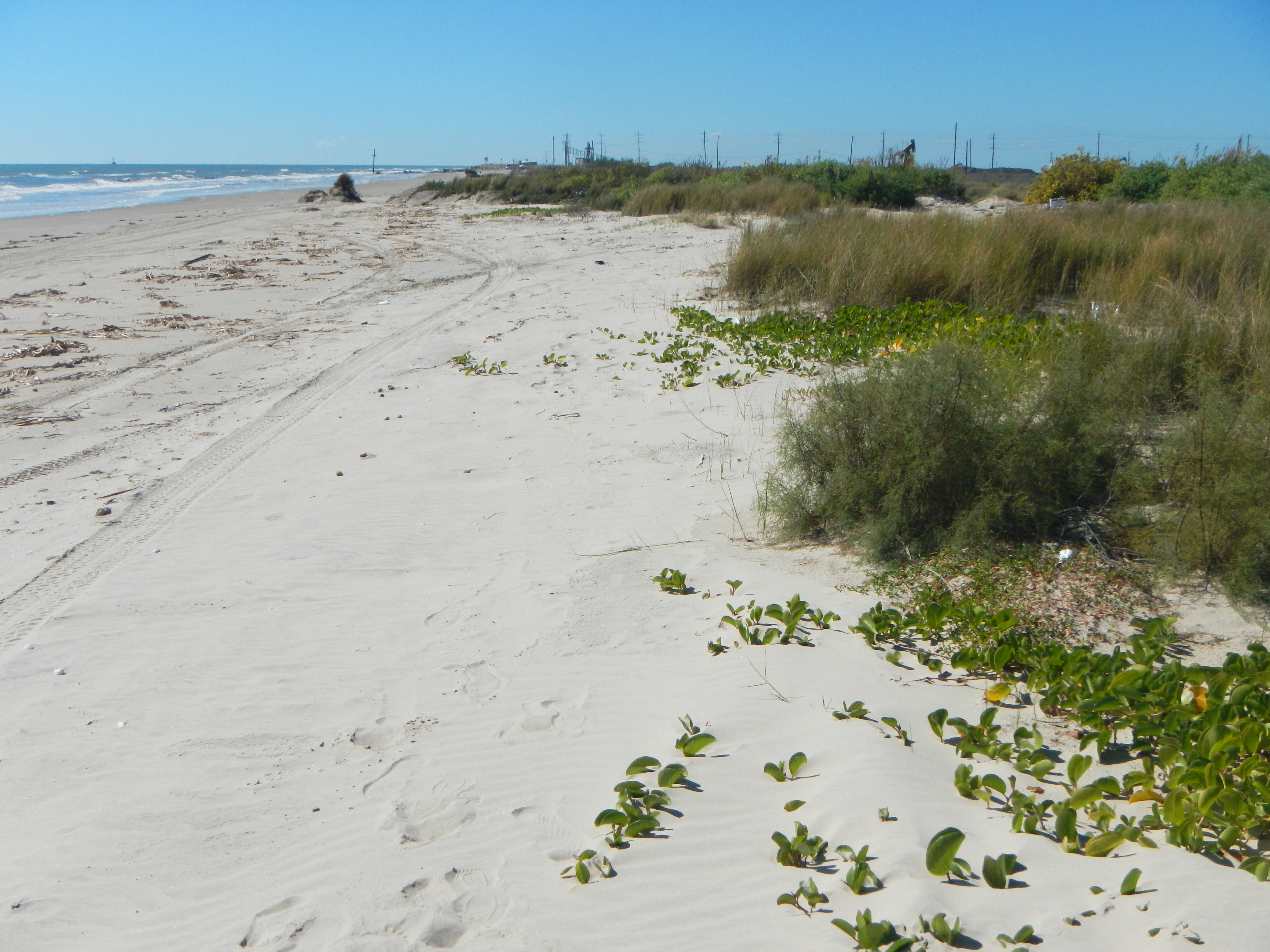 Texas coastline