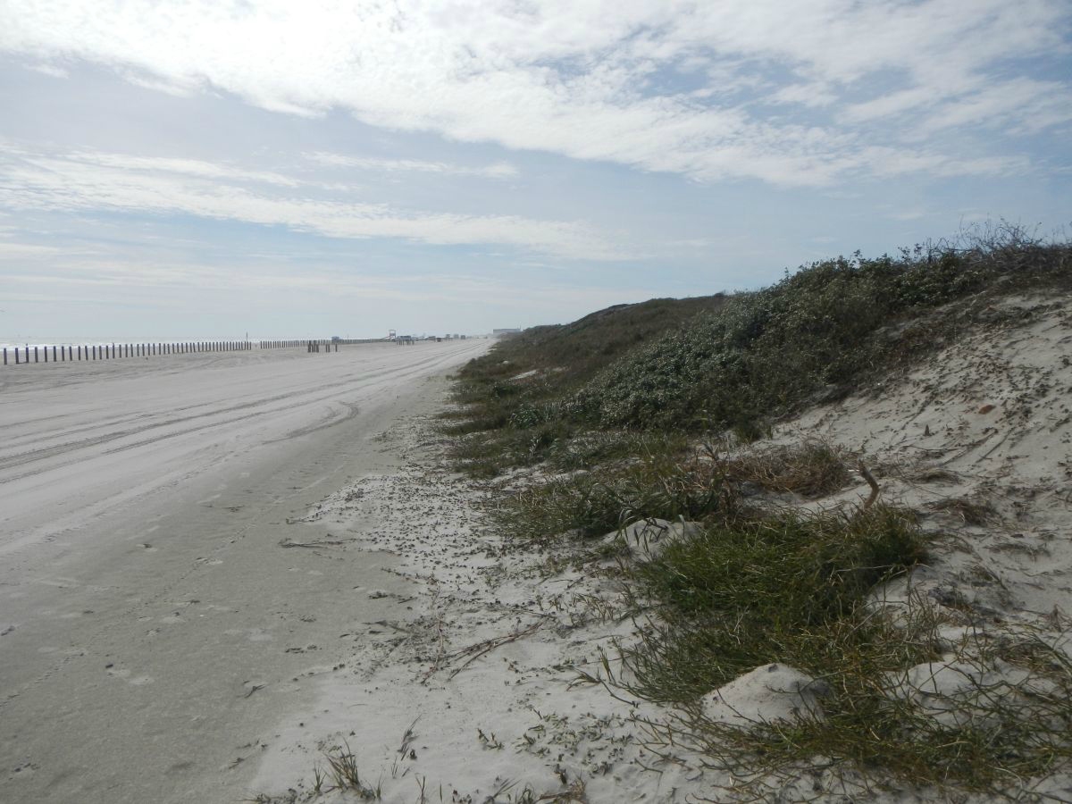 Texas coastline