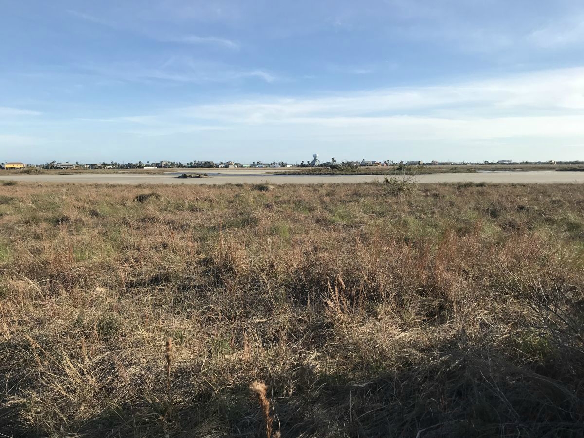 Texas coastline