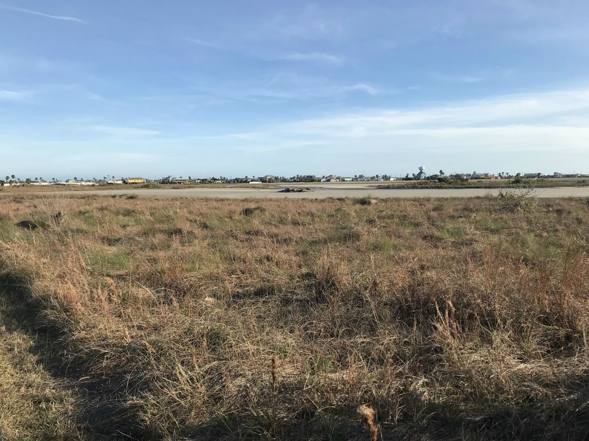 Texas coastline
