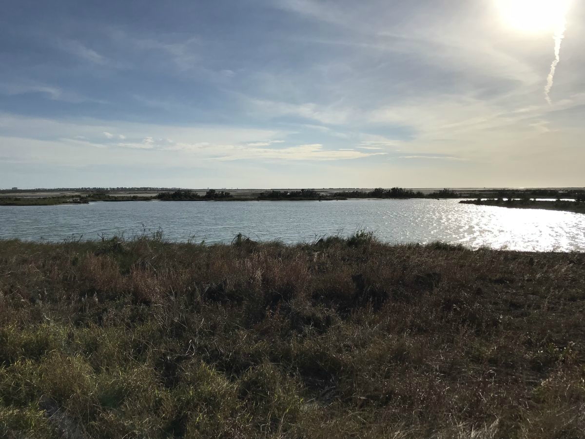 Texas coastline
