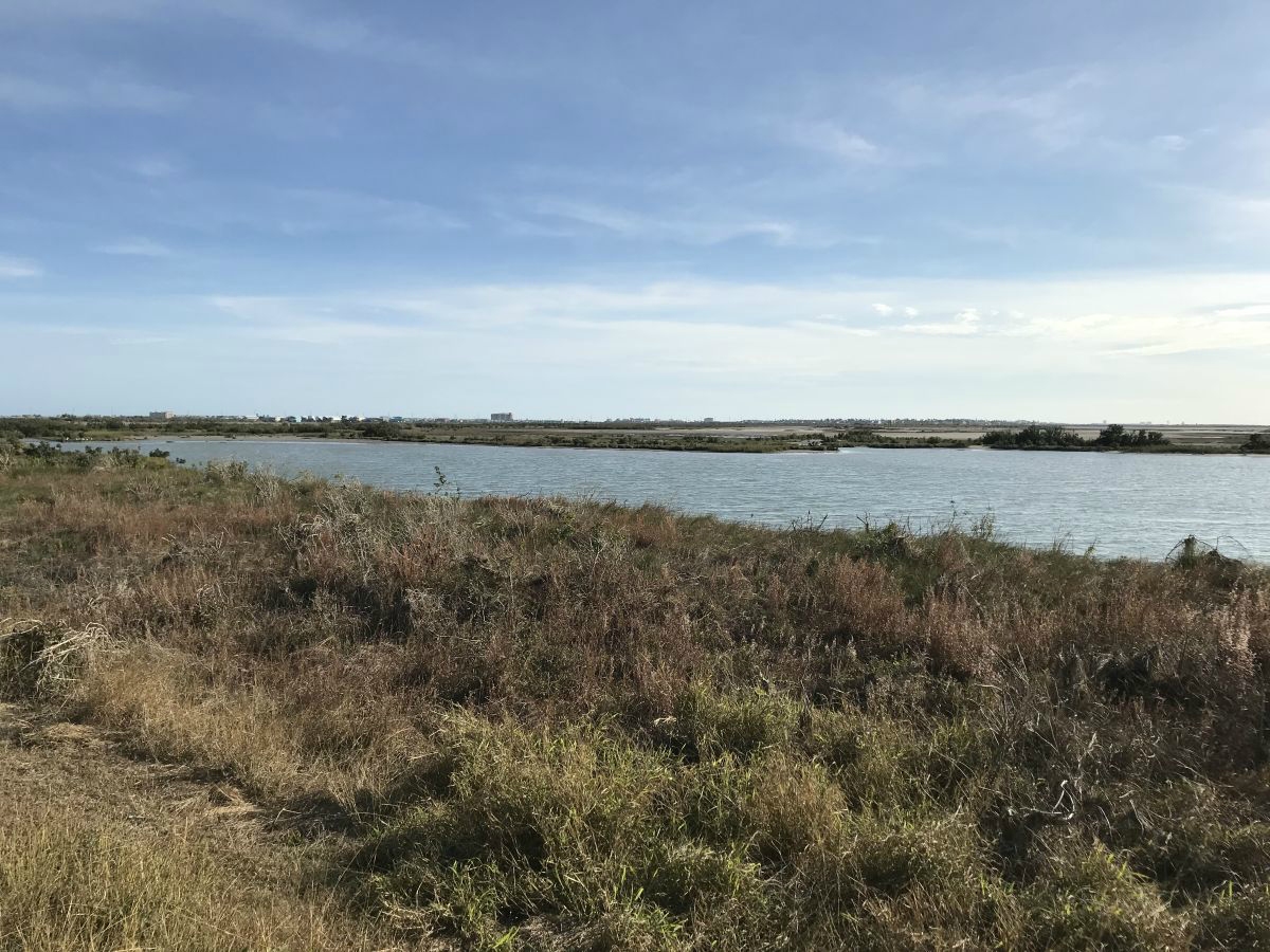 Texas coastline