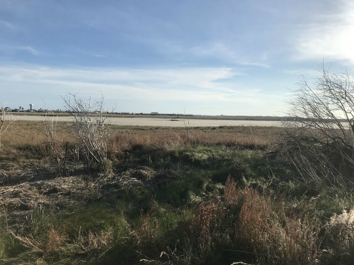 Texas coastline