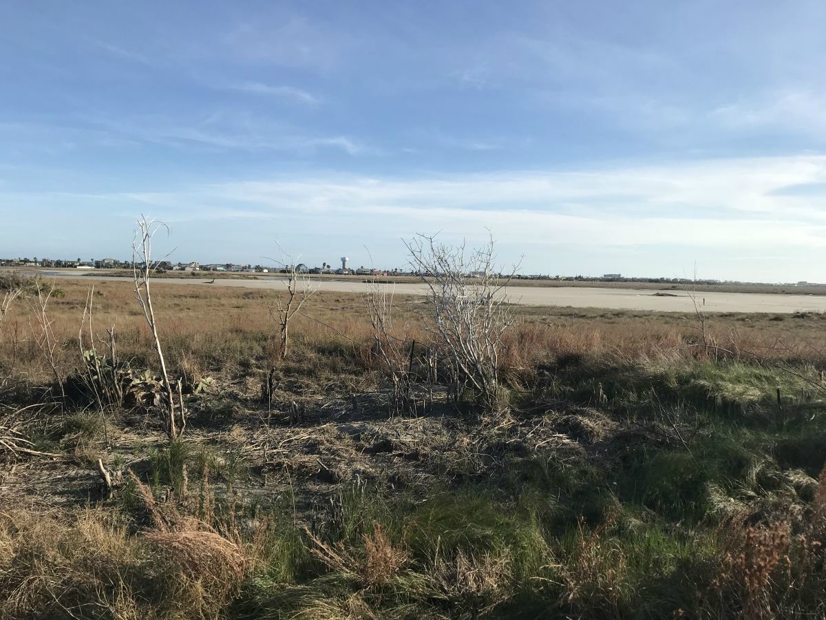 Texas coastline