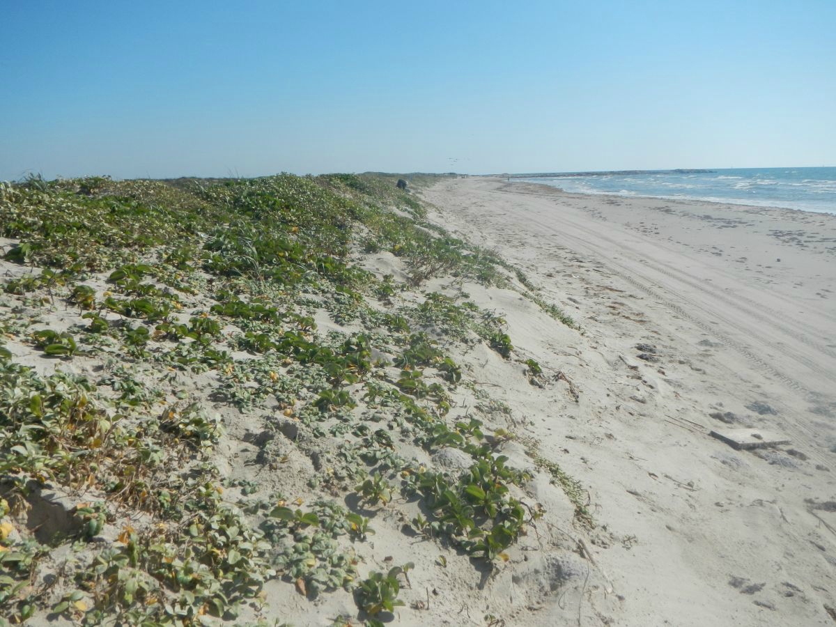 Texas coastline