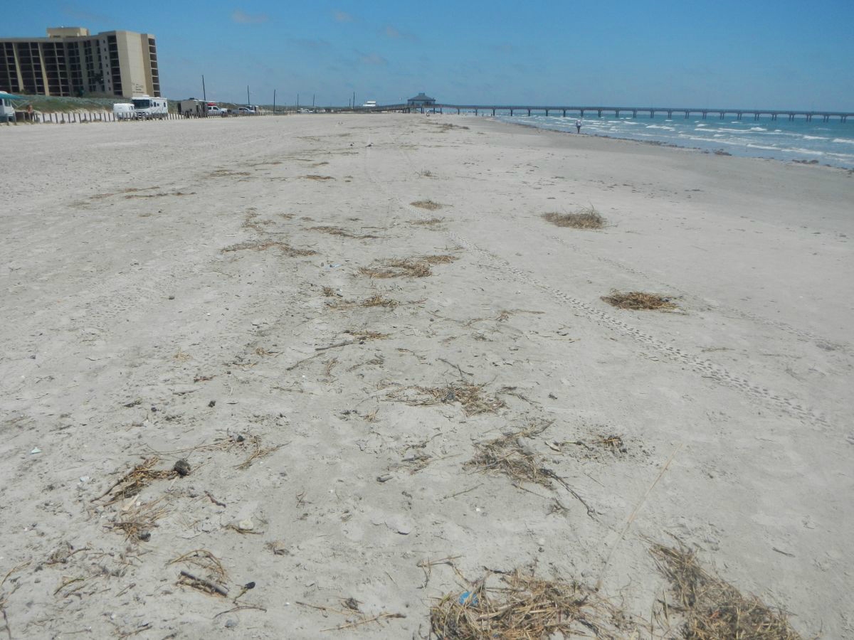 Texas coastline