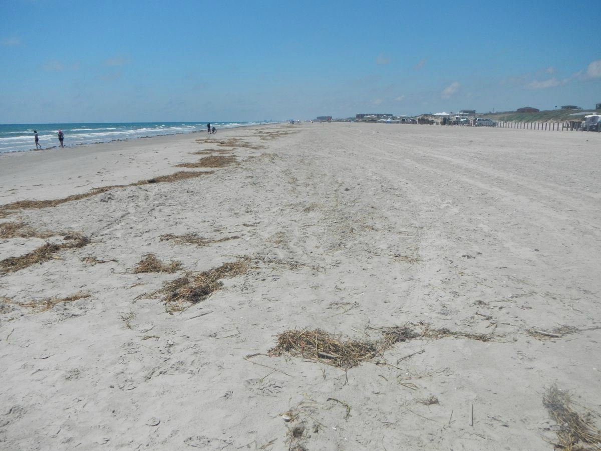 Texas coastline