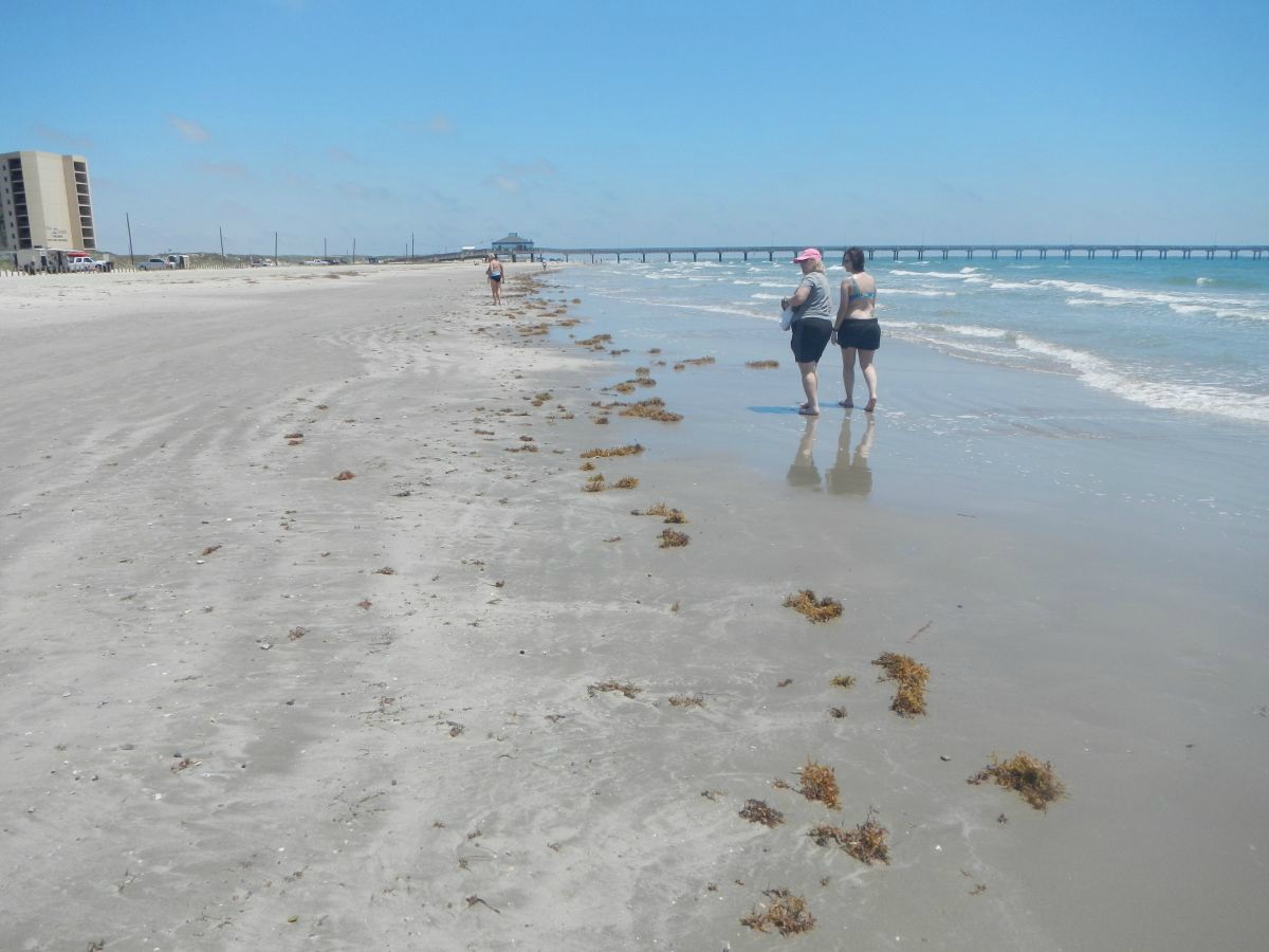 Texas coastline