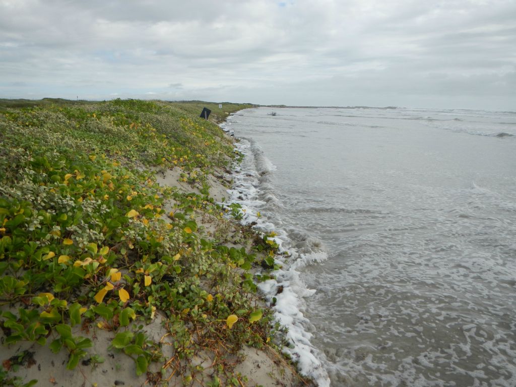 Texas coastline