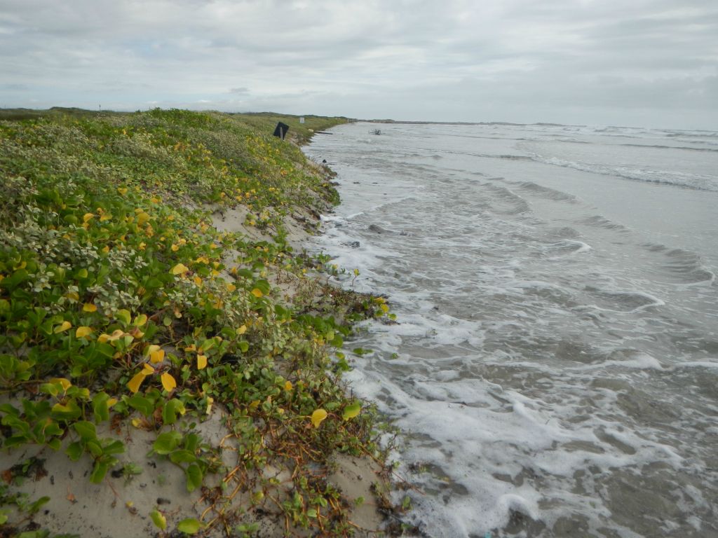 Texas coastline