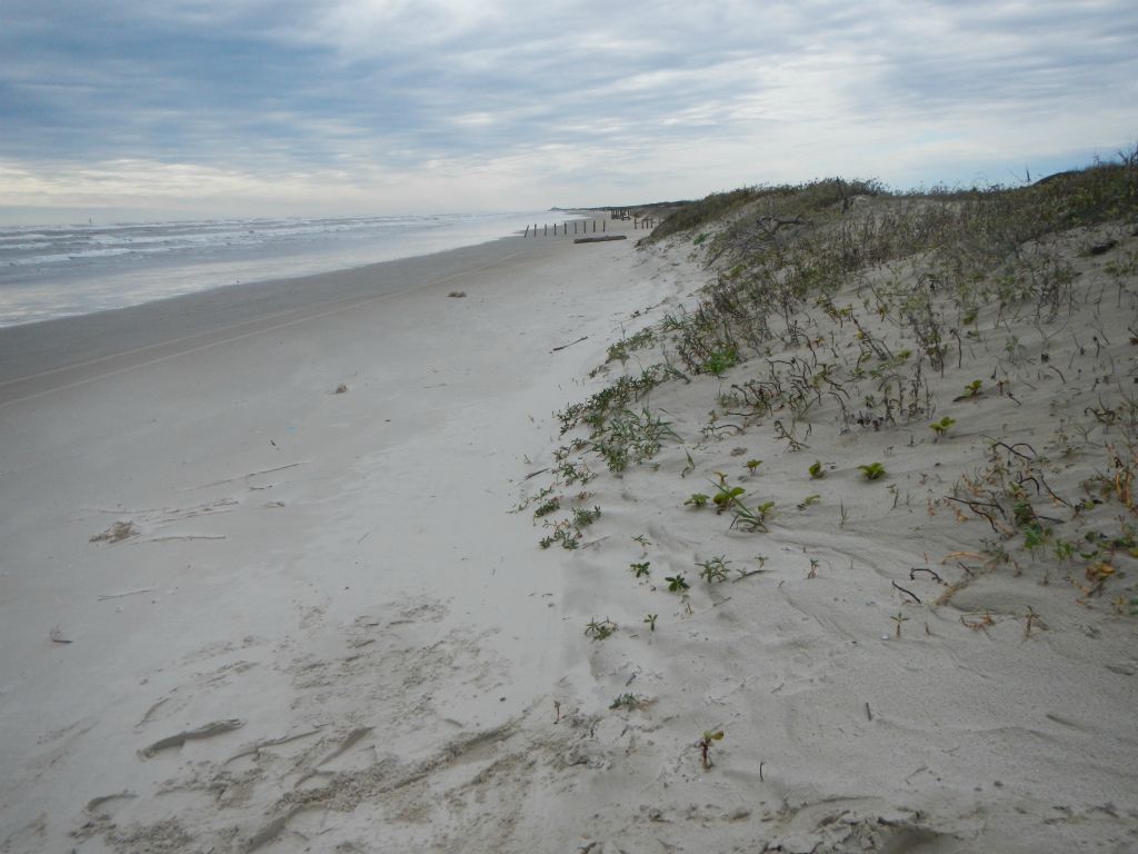 Texas coastline