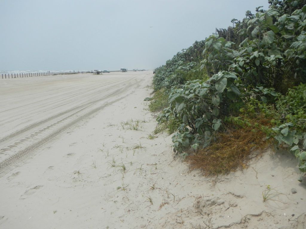Texas coastline