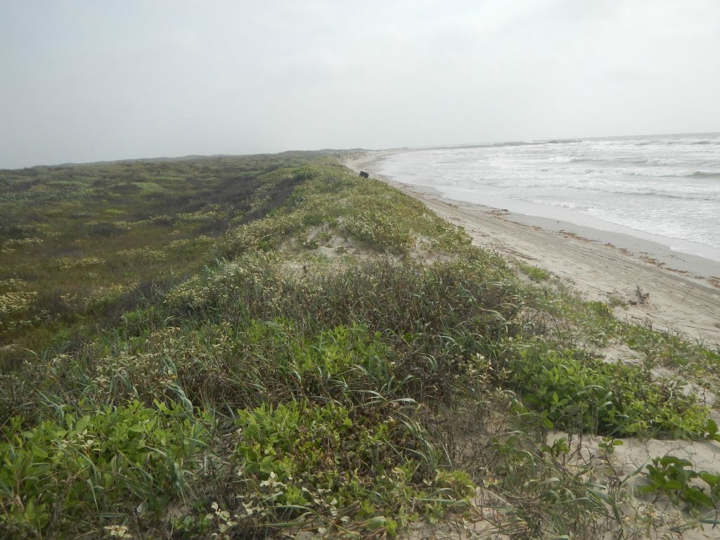 Texas coastline