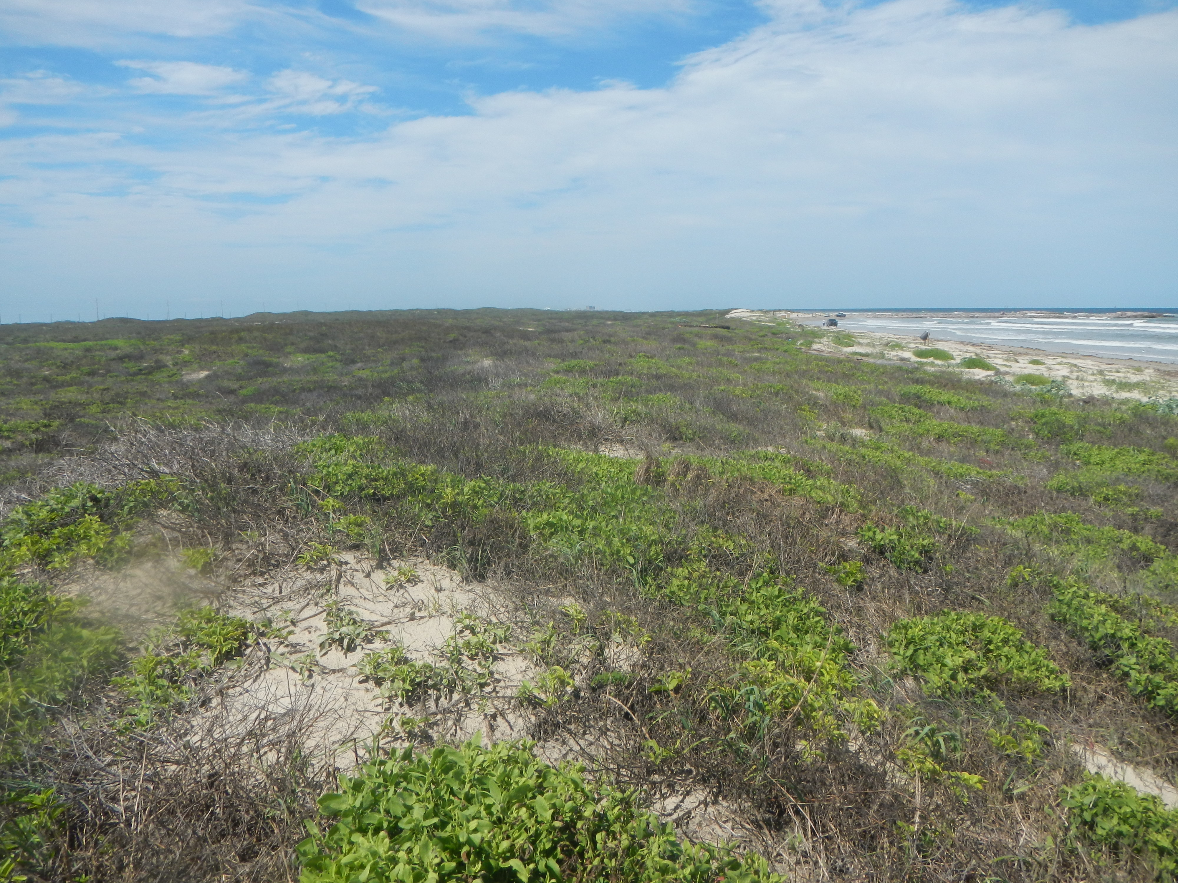 Texas coastline