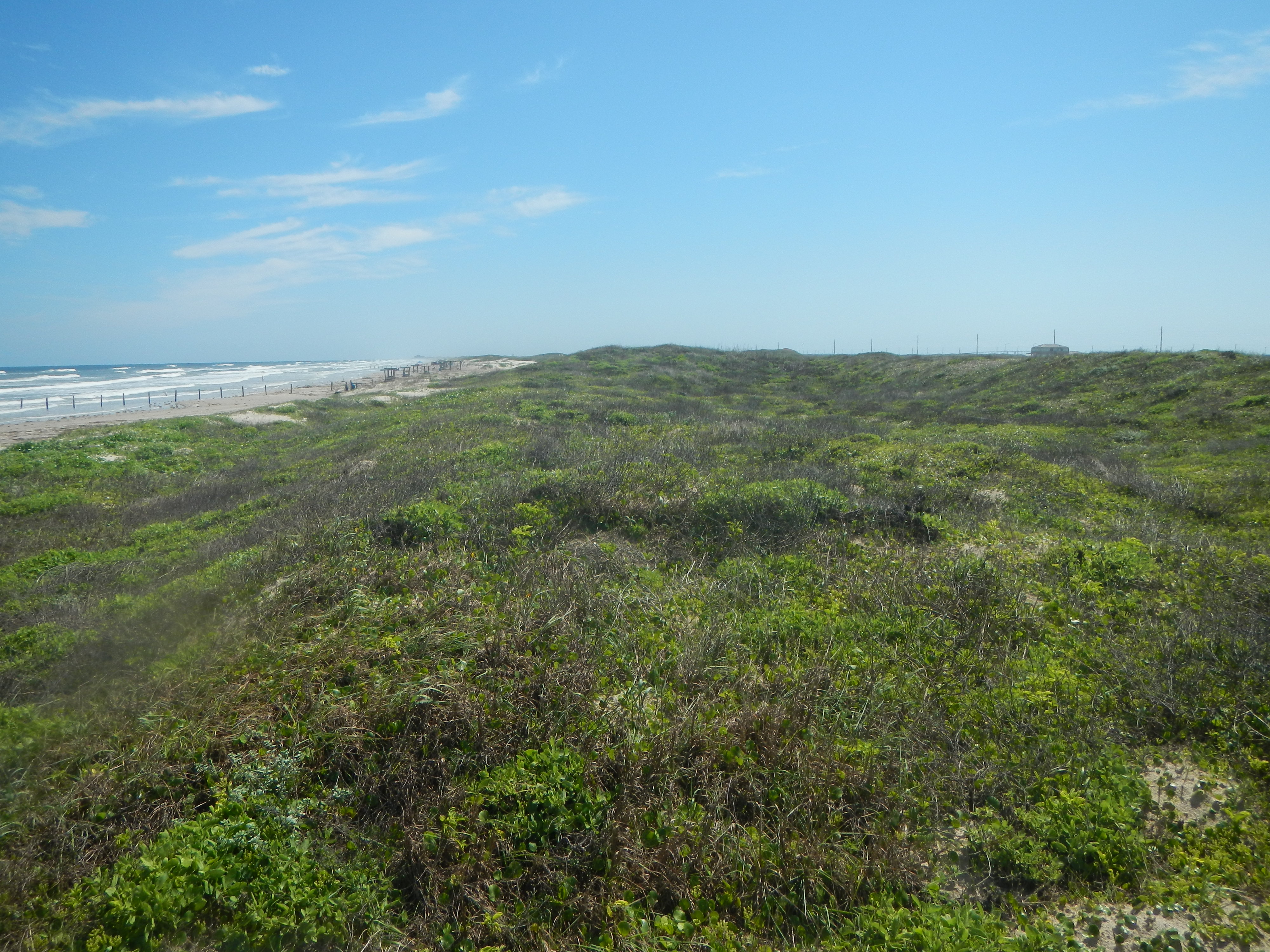 Texas coastline