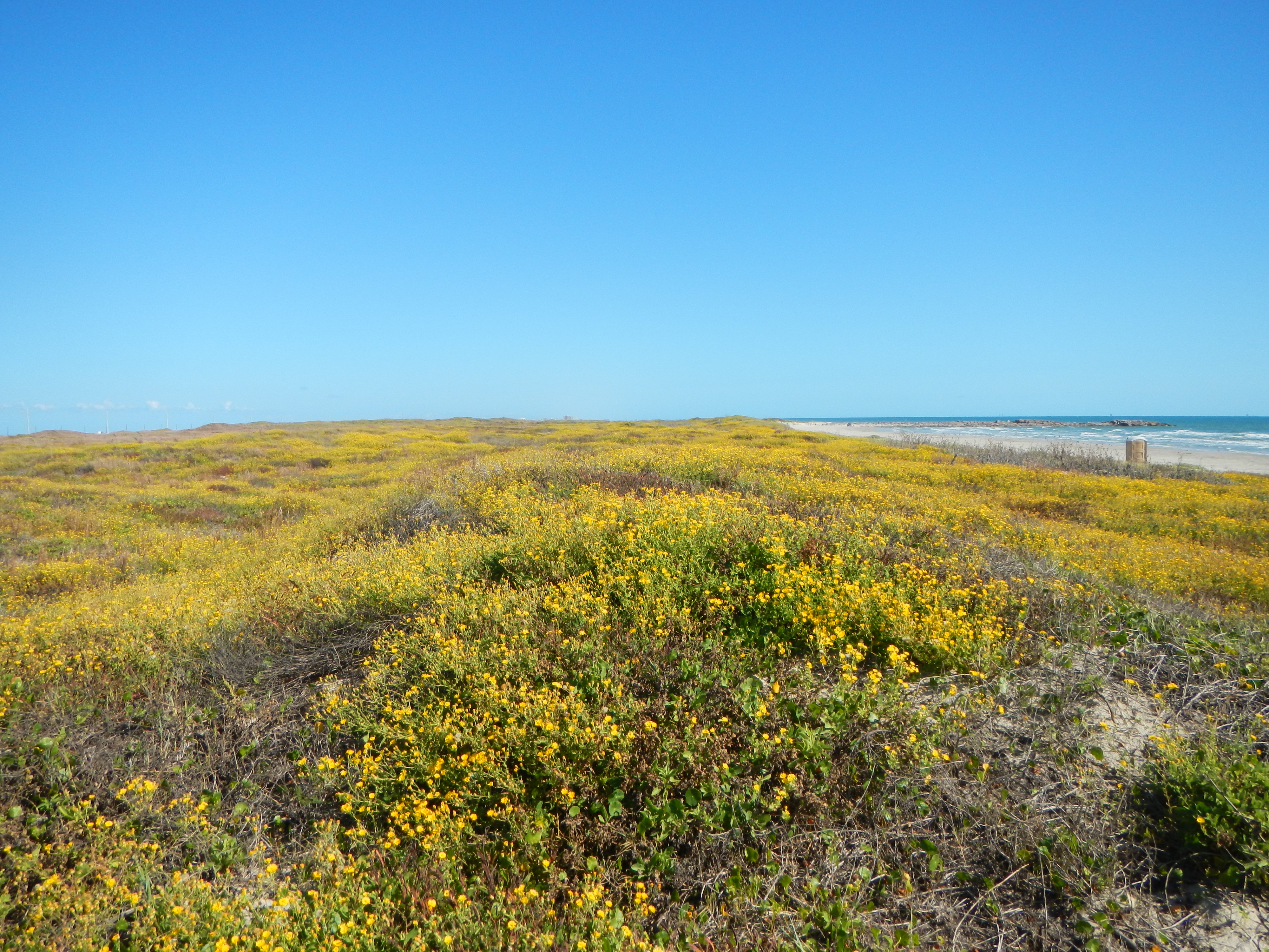 Texas coastline