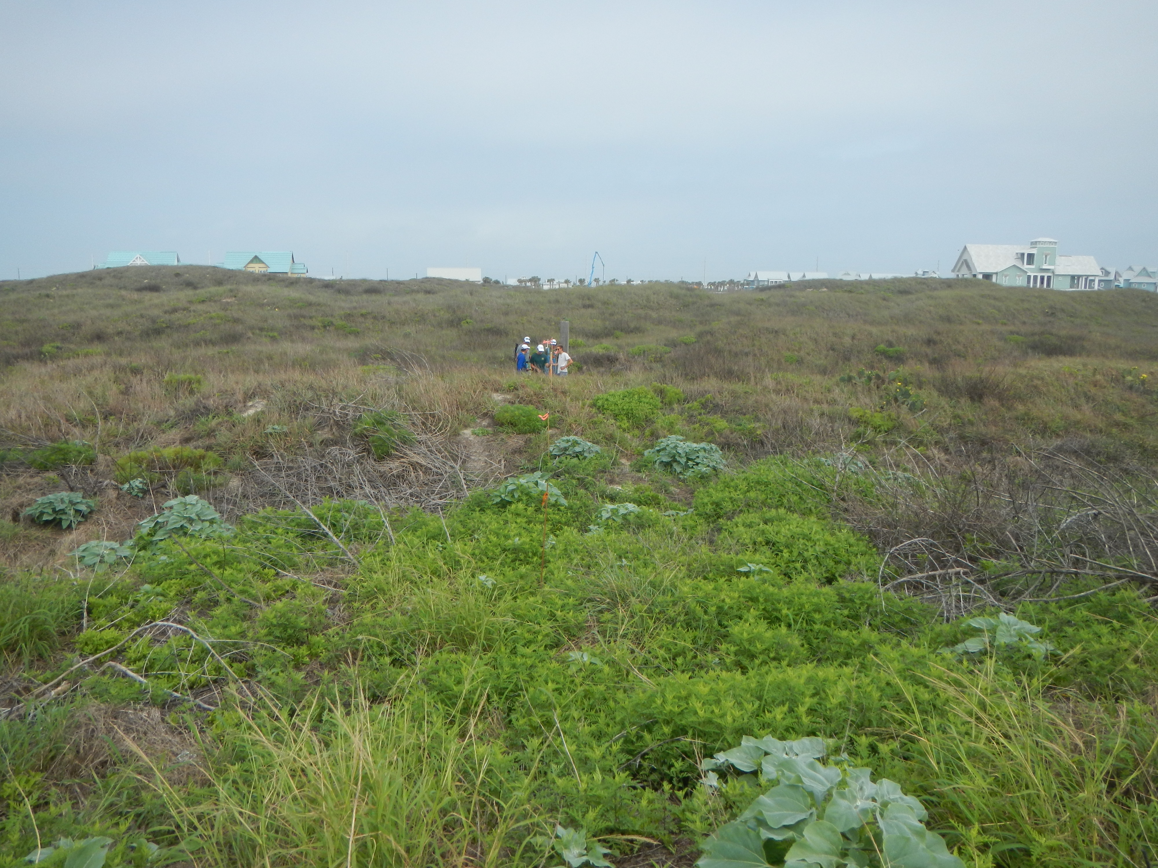 Texas coastline