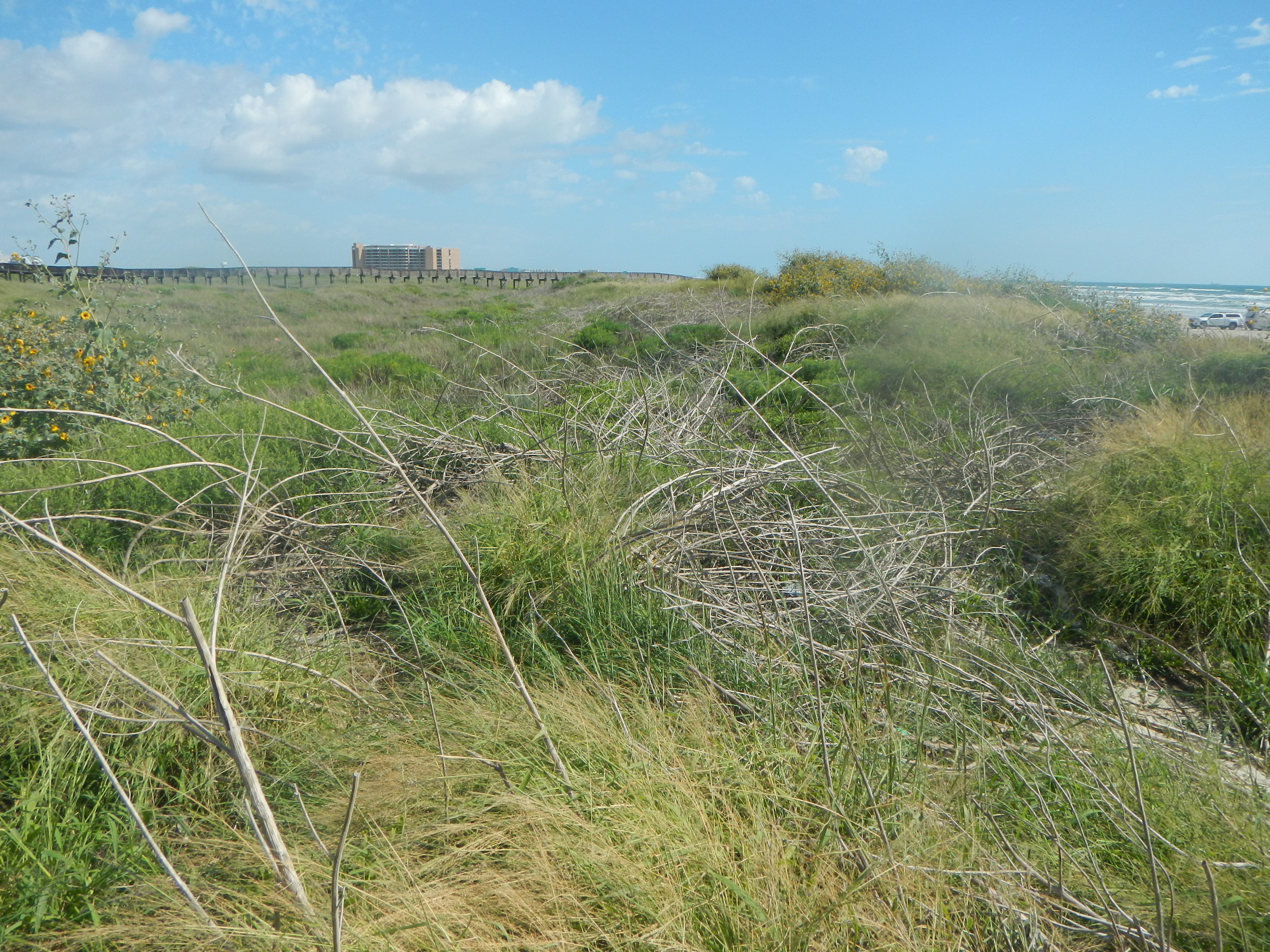 Texas coastline