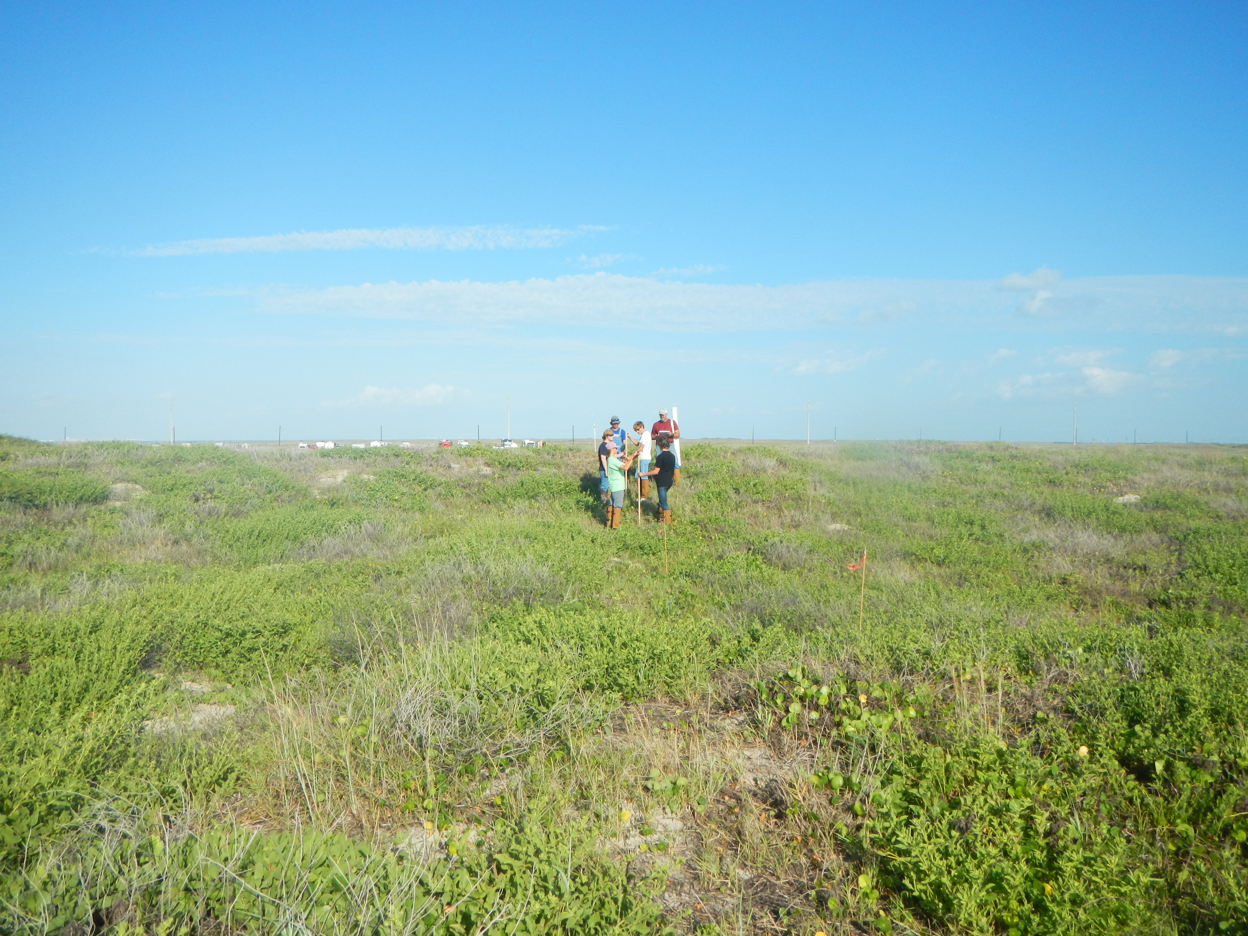 Texas coastline